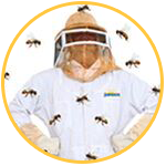 we offer bee removal services in Brevard County Florida