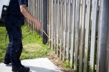 pest control stats florida